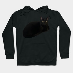 Black Cat Loaf Hoodie